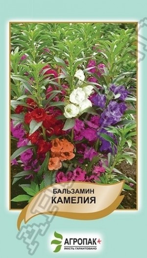 Бальзамин садовый Камелия  - 0,5 грамм