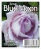 Роза Блю Мун (Climbing Blue Moon)