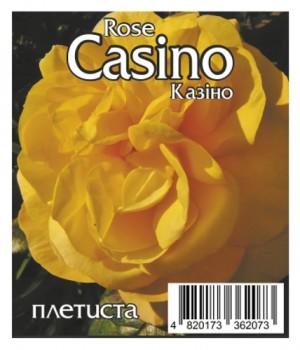 Роза Казино (Casino)