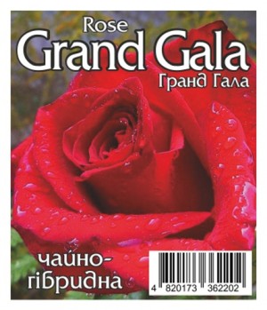 Роза Гранд Гала (Grand Gala)