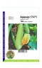 Кабачок Ардендо 174 F1 - 100 семян