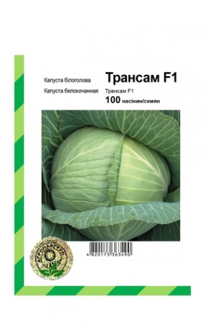 Капуста белокочанная Трансам F1 - 100 семян