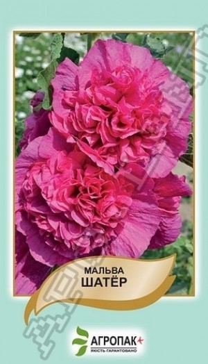 Мальва Шатер, пурпурно-фиолетовая  - 0,3 грамма