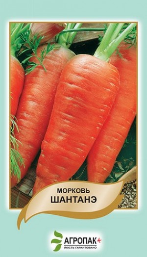 Морковь Шантанэ - 2 грамма