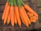 Морковь Сиркана F1 - 1 грамм