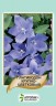 Платикодон крупноцветковый, голубой - 50 семян