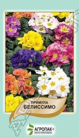 Примула Белиссимо  - 50 семян