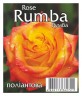 Роза Румба (Rumba)