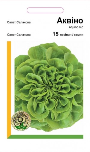 Салат Саланова Аквино - 15 семян