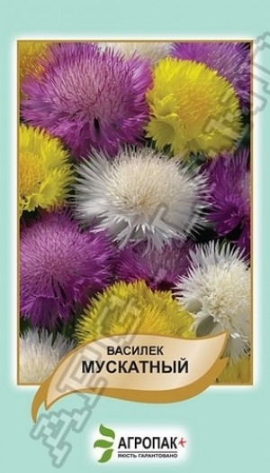 Василек Мускатный, смесь  - 0,5 грамм
