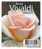 Роза Вивальди (Vivaldi)
