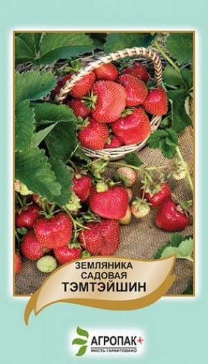 Земляника садовая Тэмтэйшин - 50 семян